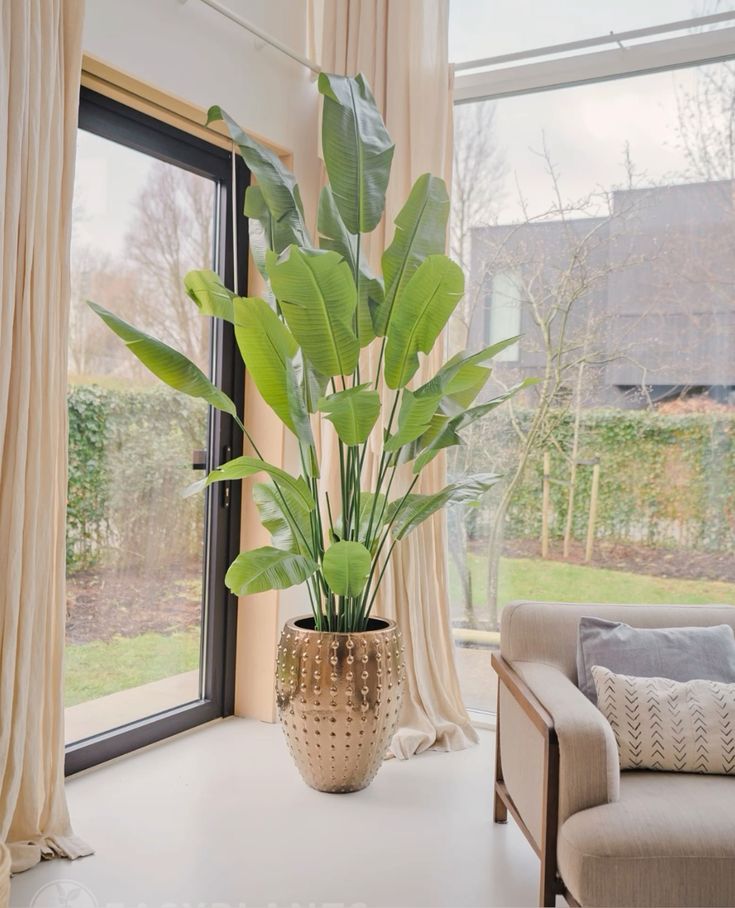 Woonkamer Planten - Voor die lege hoek die je al weken negeert