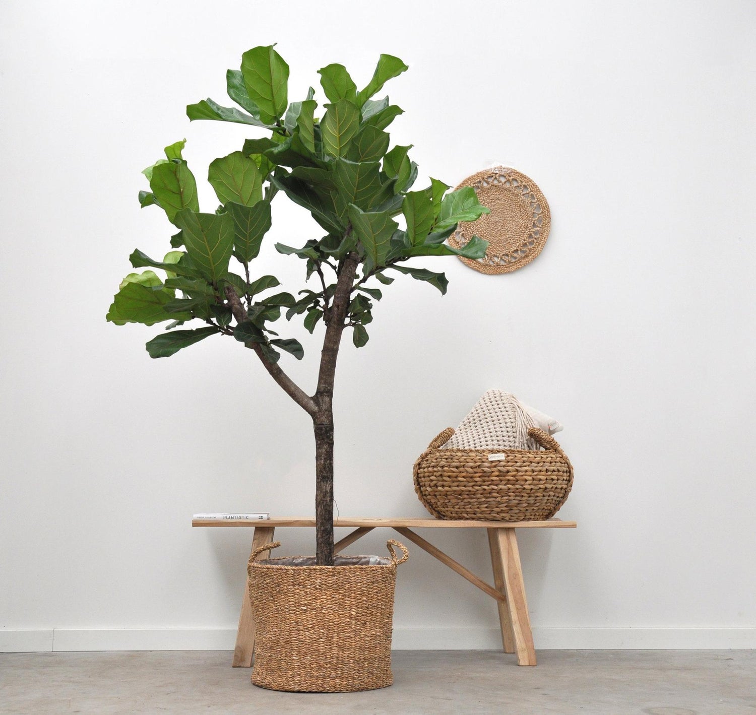 Mand Jack – Naturel (Ø30 cm)